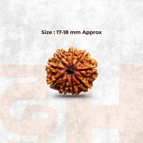 Graphic showing the bead and its size as 17 to 18 mm