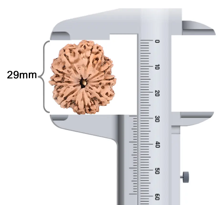 Bead beside a caliper reading 29 mm