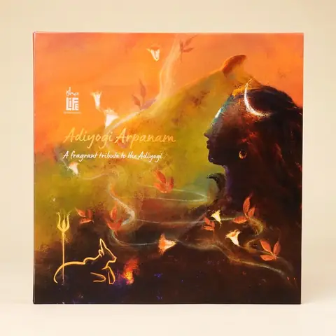 Adiyogi gift box with an orange and dark painted cover