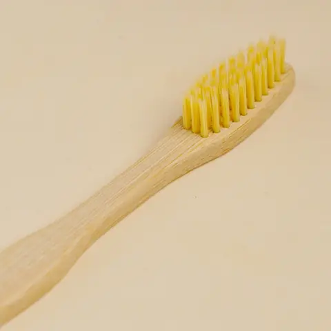 Close view of the yellow bristles