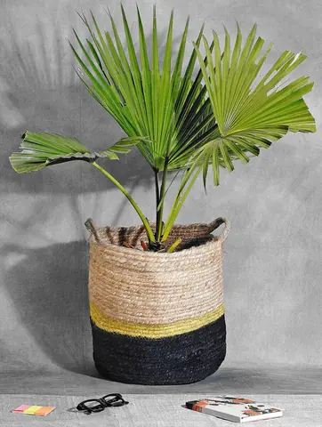 The basket planter from the front
