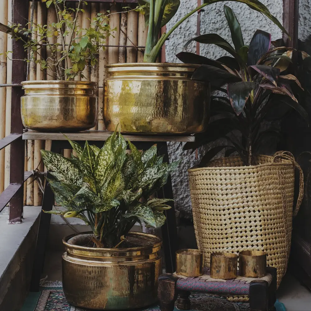 Brass planters among indoor plants and baskets
