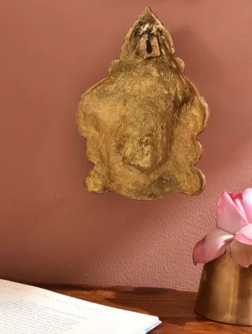 The hanging beside a pink flower and a brass pot