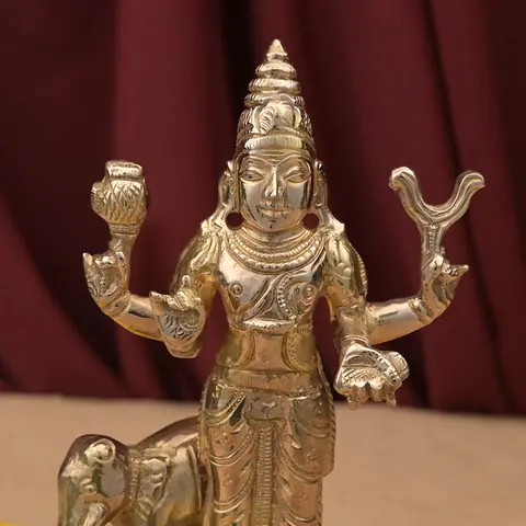 Close view of the face and upper hands
