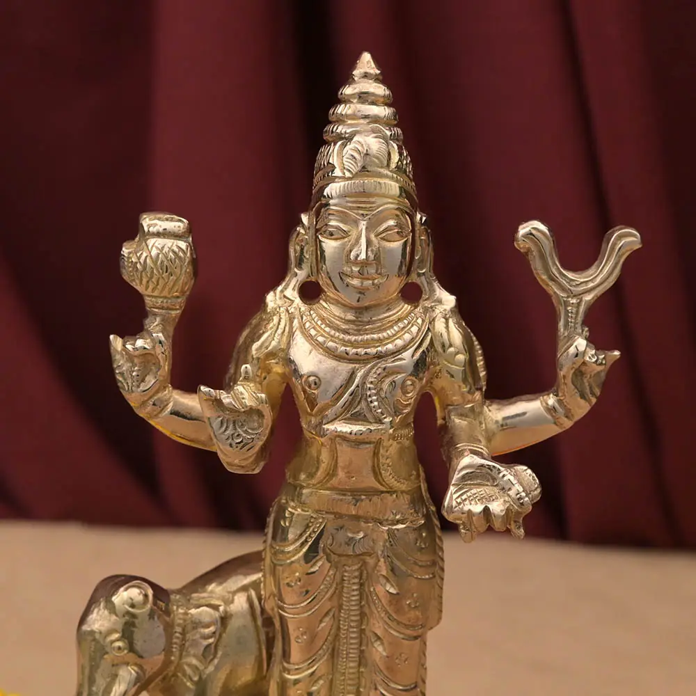 Close view of the face and upper hands