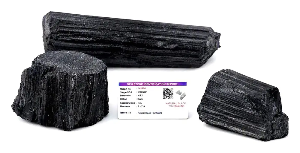 Raw black tourmaline pieces beside the seller's identification card