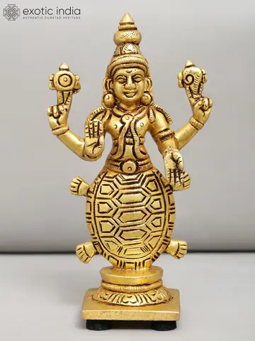 The tortoise-bodied avatar
