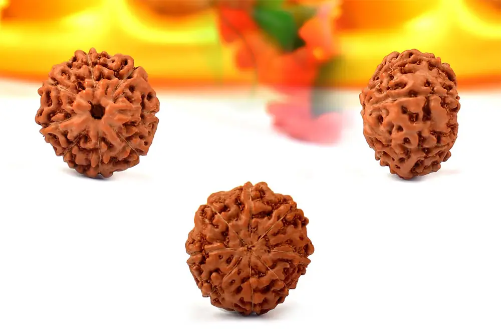 Three loose rudraksha beads on a bright ground, as shown by the seller