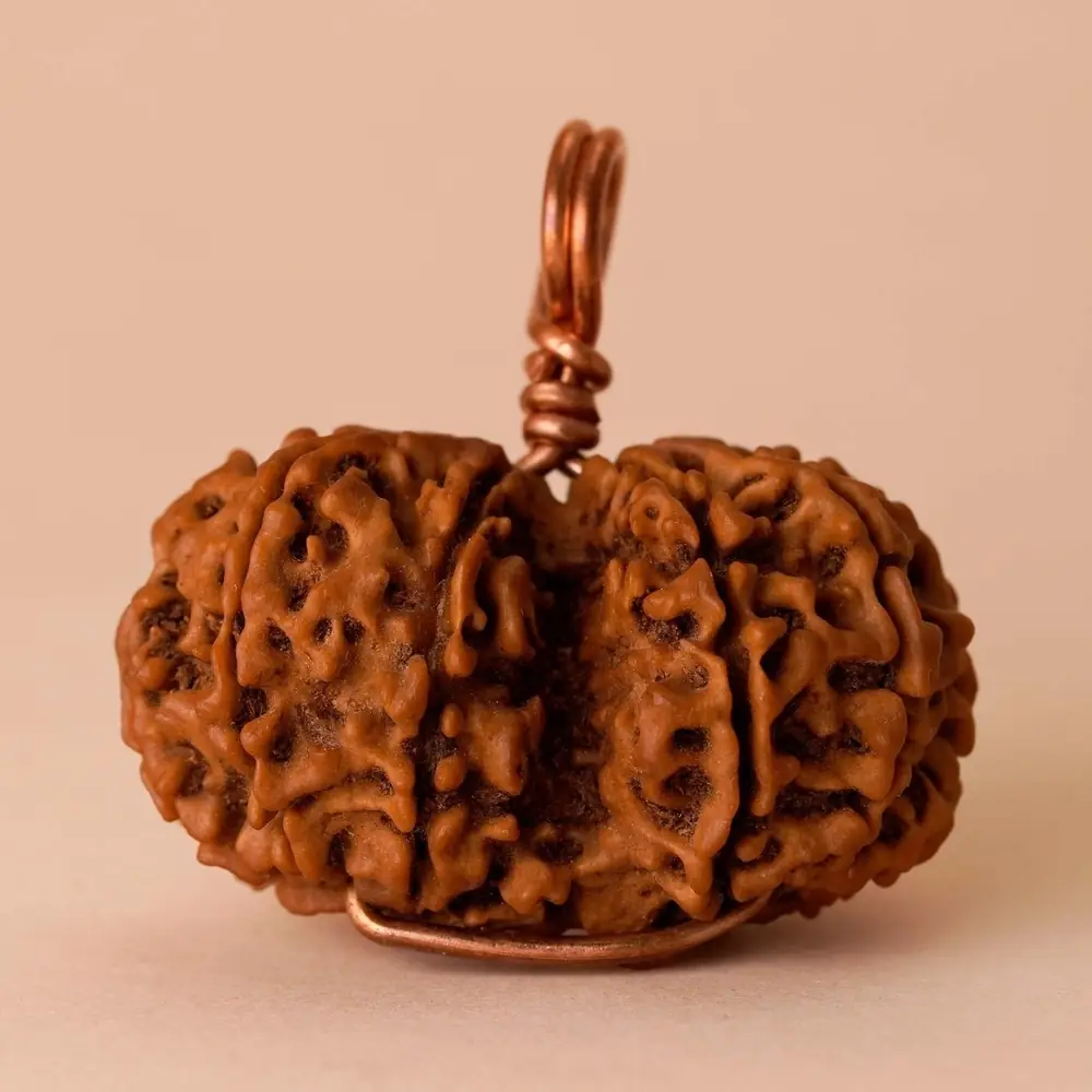 Joined Gauri-Shankar rudraksha with a copper wire loop, front