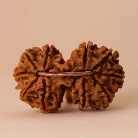 The joined beads seen side on
