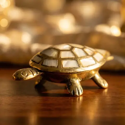 Turtle seen from the side on a dark background