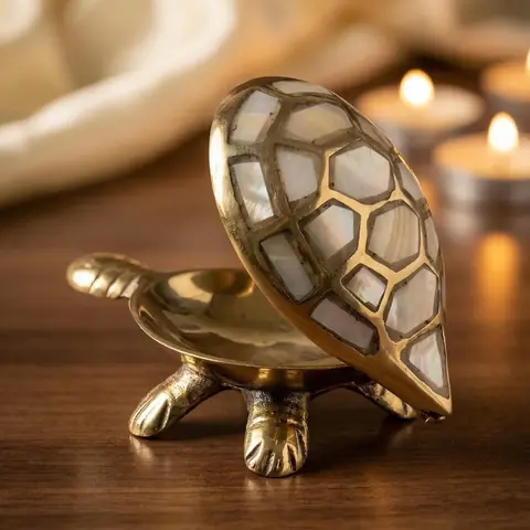 Turtle with its shell lifted open