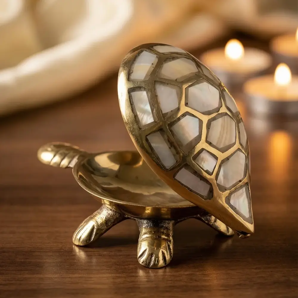 Turtle with its shell lifted open