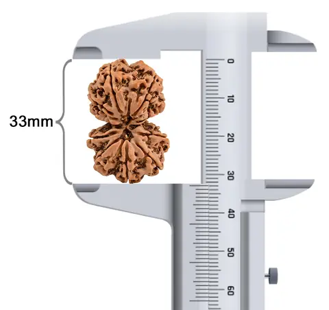 The pair held in calipers, reading 33 mm