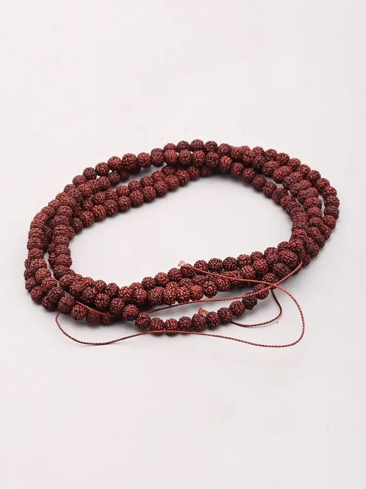 The mala coiled