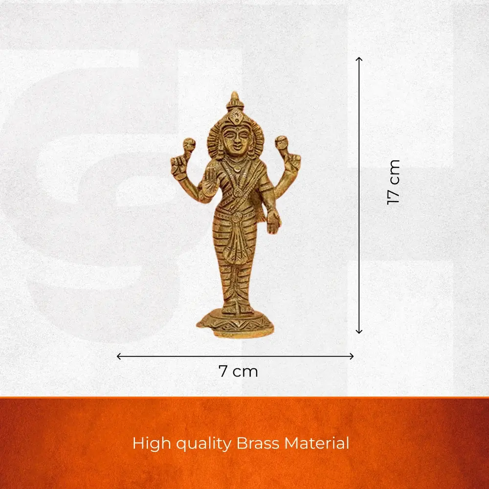 Seller size graphic showing 17 cm height and 7 cm width