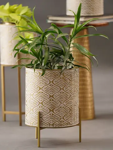 Planter with a green plant on its stand