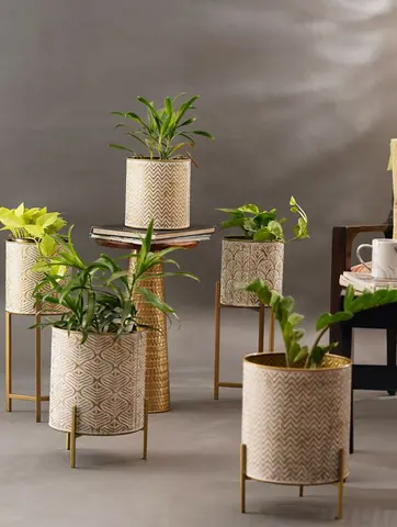 Group of planters of different sizes with plants