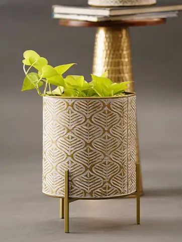 Planter holding a trailing plant on a table