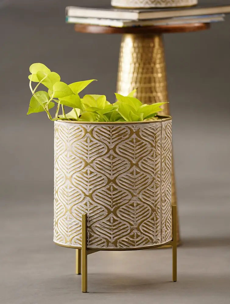 Planter holding a trailing plant on a table