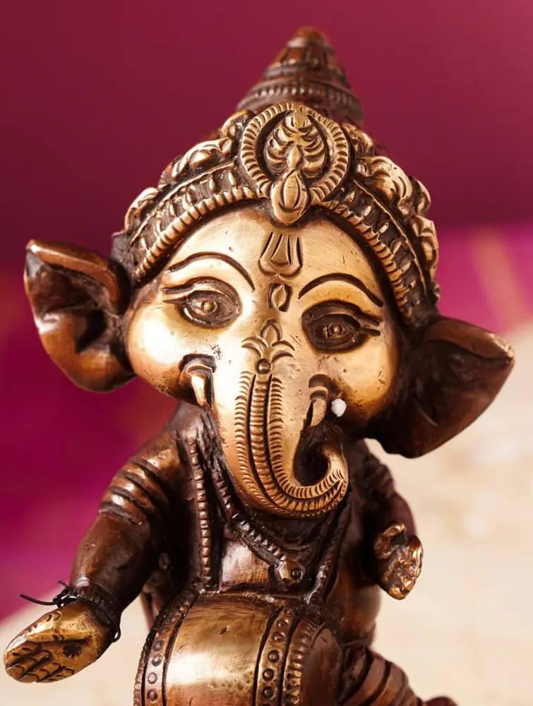Close view of the face, crown and trunk