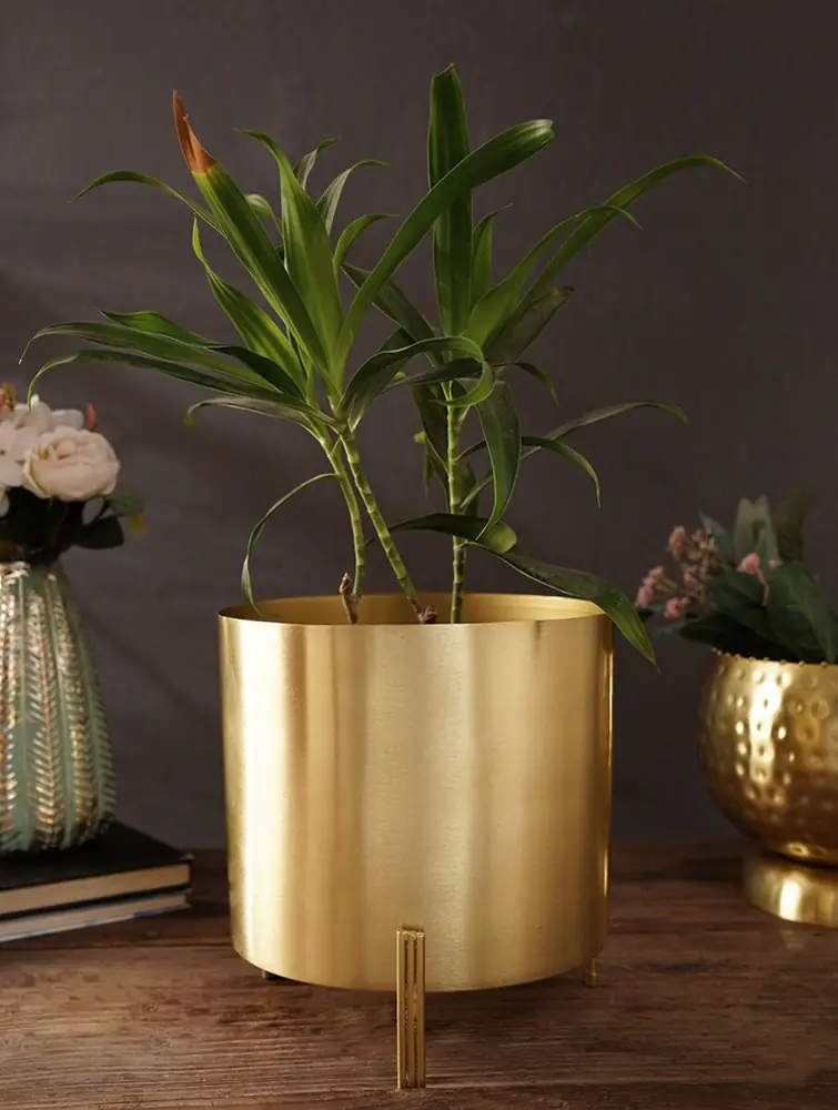 Gold-coloured iron planter on its stand with a plant