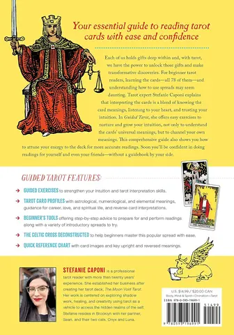 Back cover with the publisher's description
