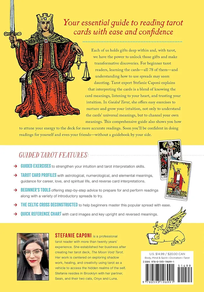 Back cover with the publisher's description