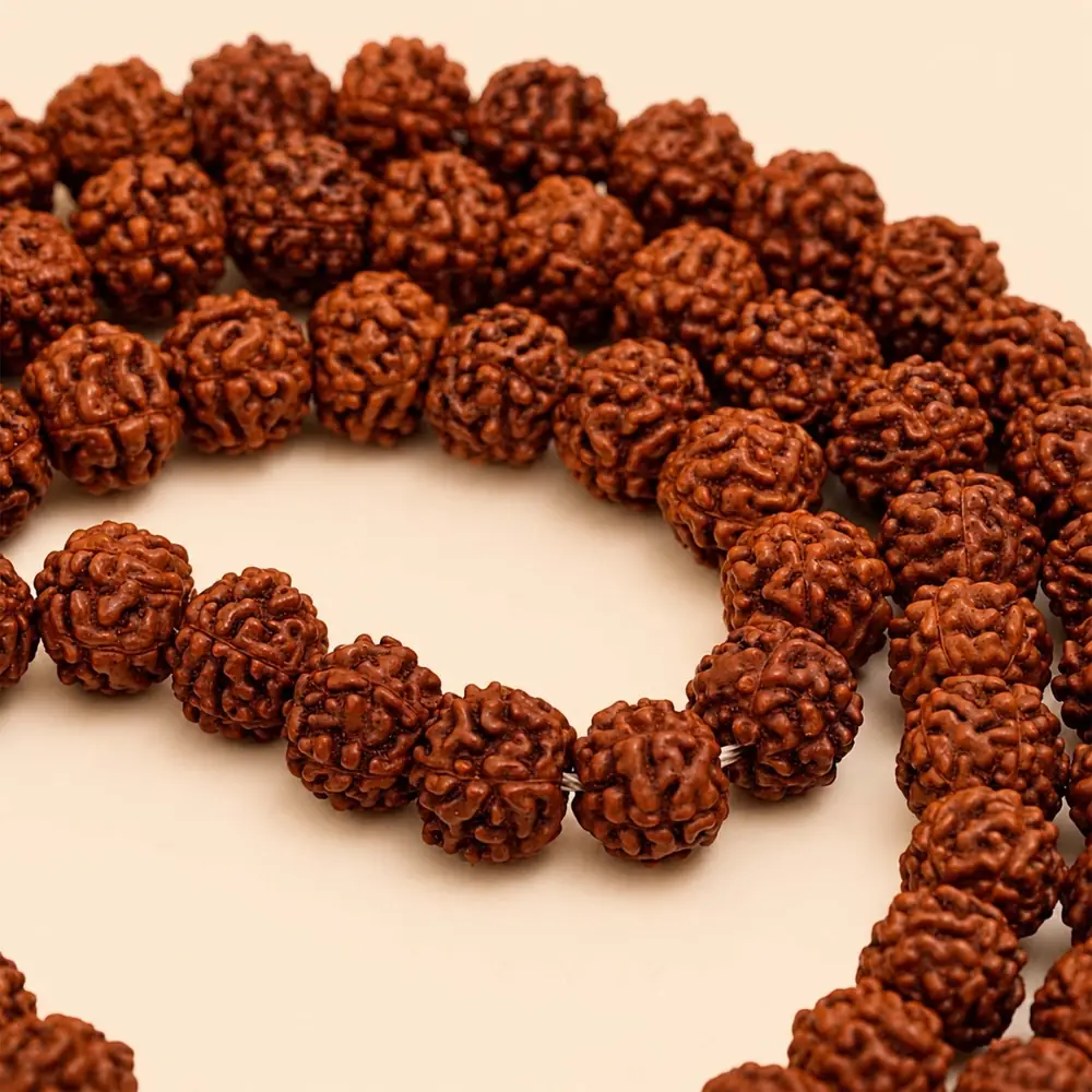 Close view of the rough rudraksha beads