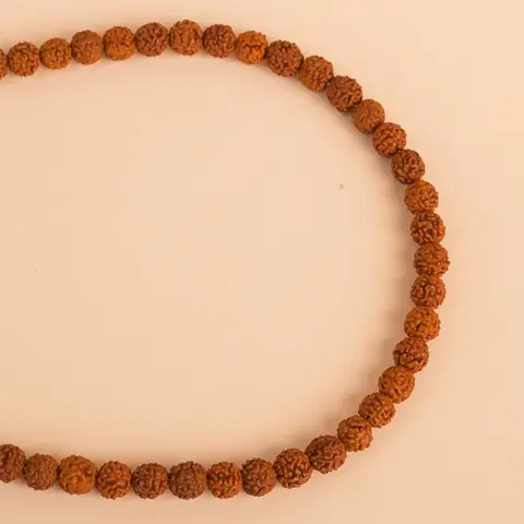Close view of the rudraksha beads in a ring