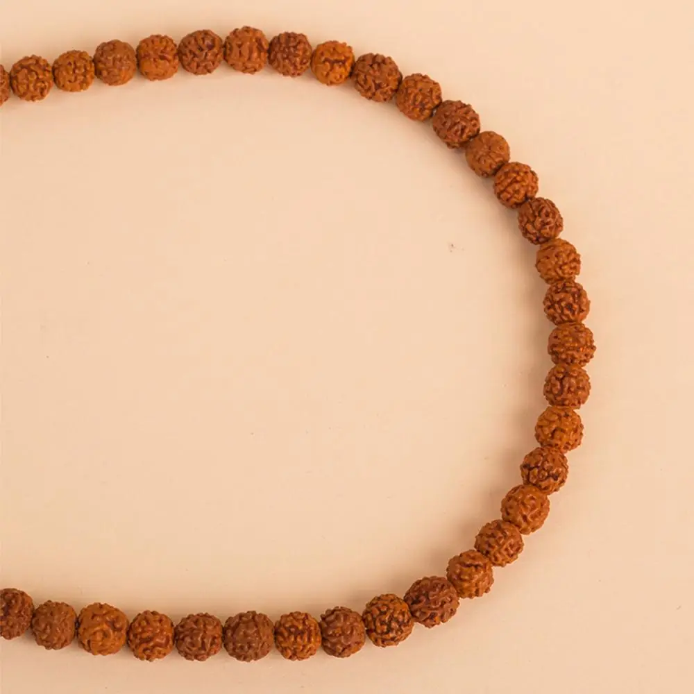 Close view of the rudraksha beads in a ring