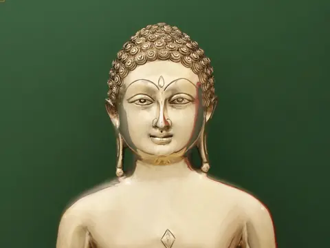 Close view of the face