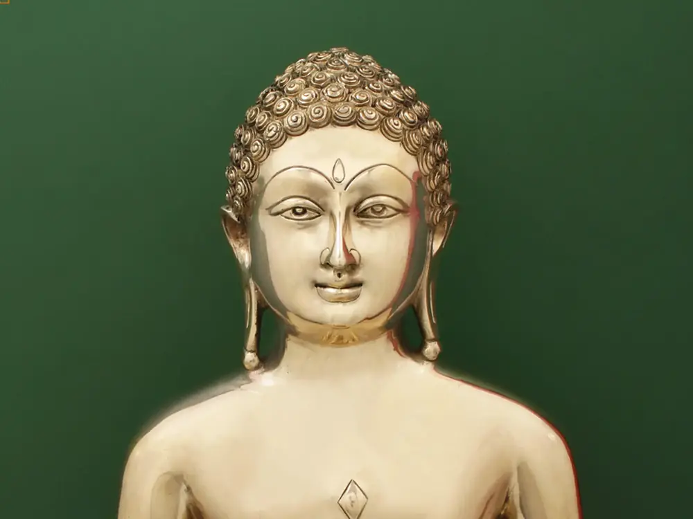 Close view of the face