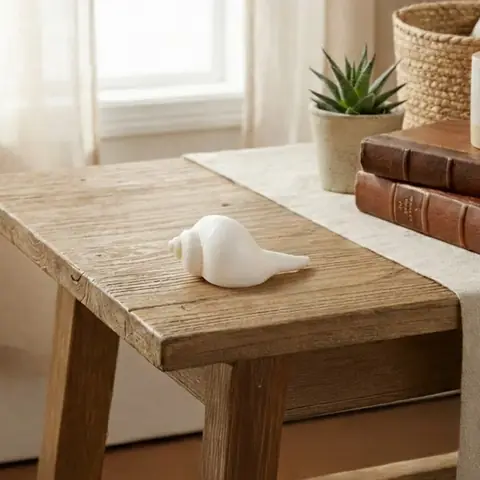 The conch on a wooden table in a room with books and a plant