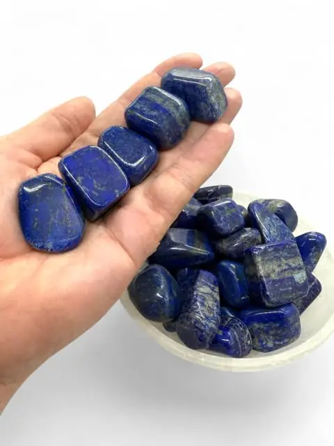 A hand holding several tumbled lapis lazuli stones