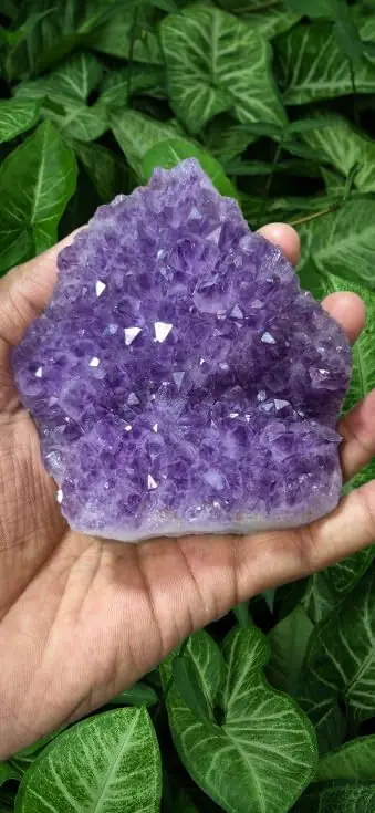 Amethyst cluster on a white ground