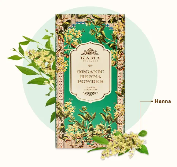 Carton with henna flowers and leaves in the photo