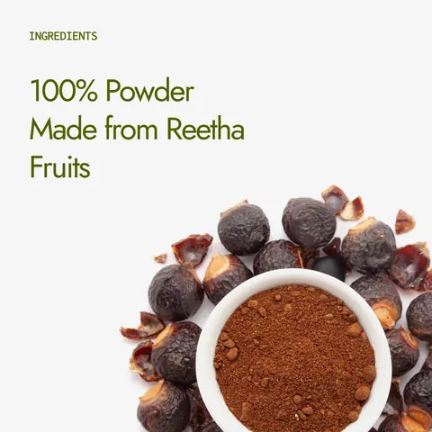 Reetha fruits and a bowl of the powder