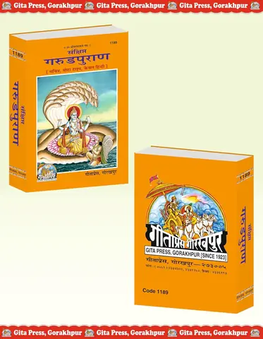 The book beside its box, showing the back