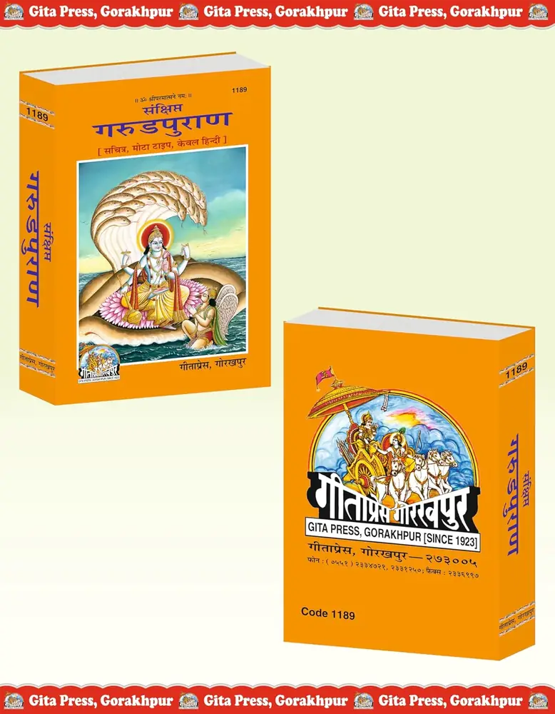 The book beside its box, showing the back