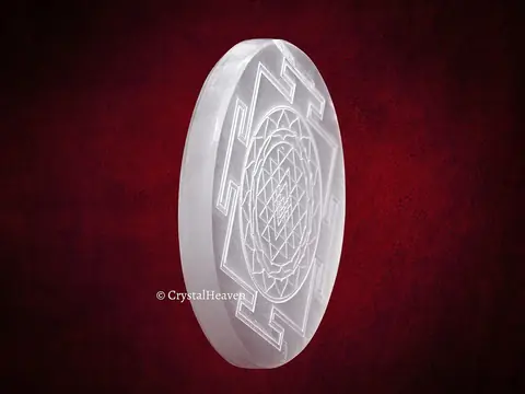 The plate standing on its edge on red cloth