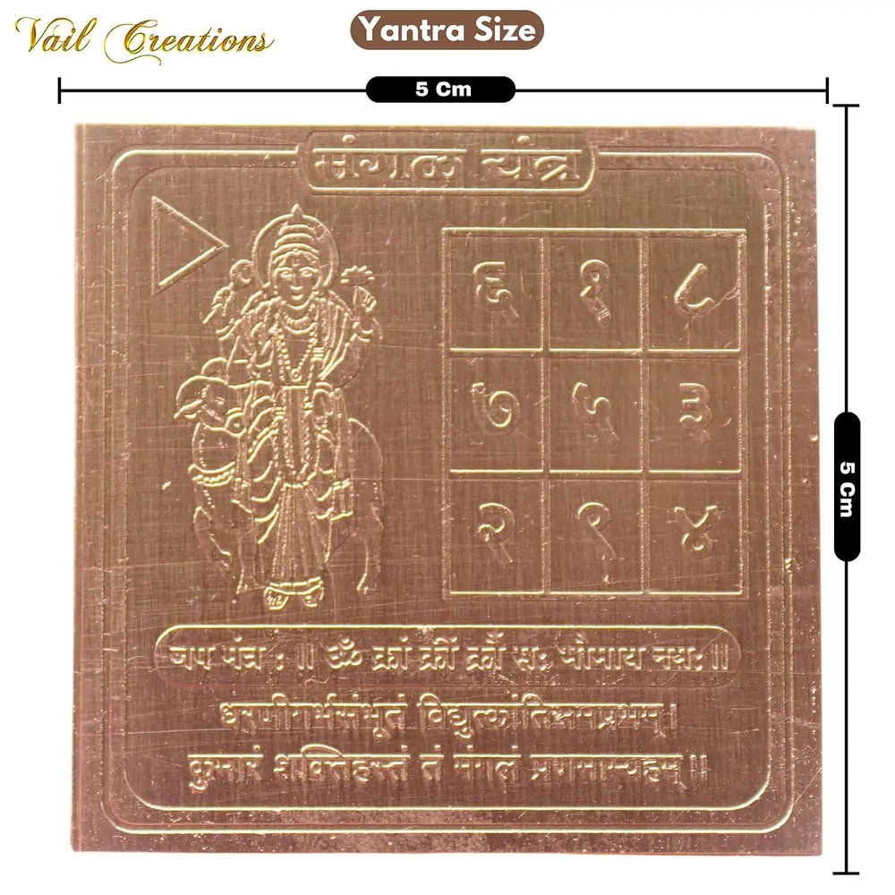 The plate with a size marker showing 5 cm