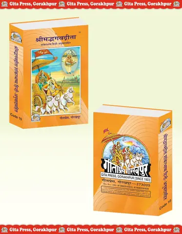 The book standing beside a second copy of the same edition