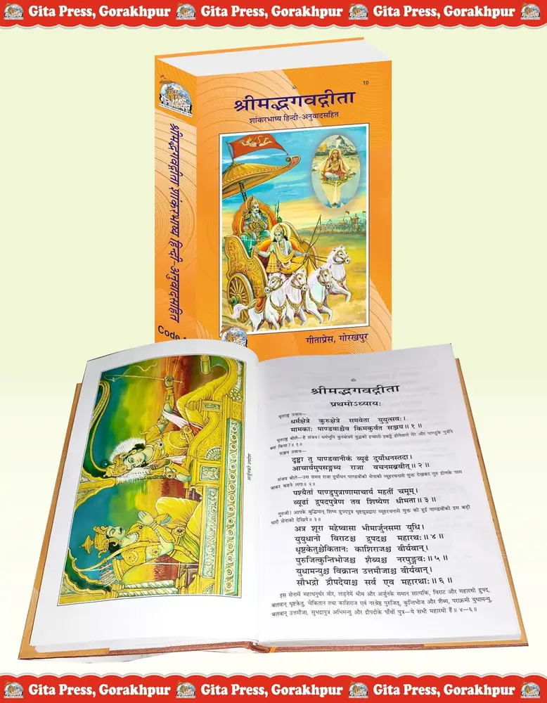 The book open to an illustrated page