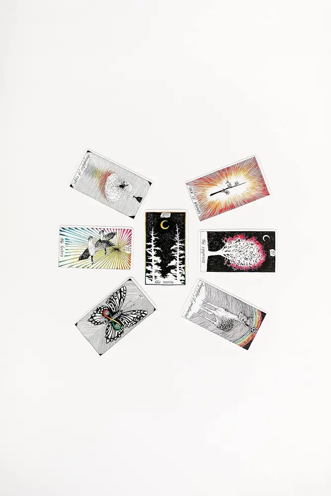 Cards face up beside the tin on a white surface