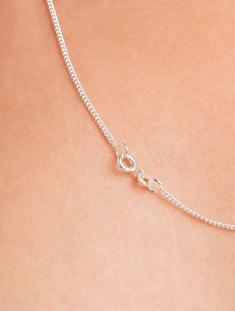 The chain and clasp area close up