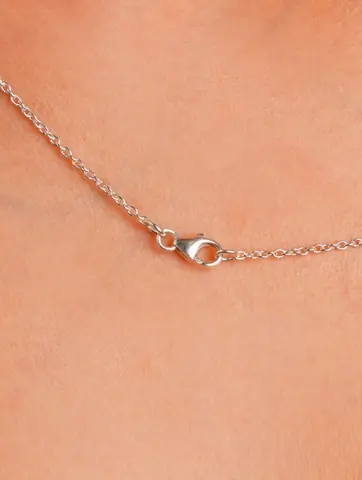 The lobster clasp at the back of the chain