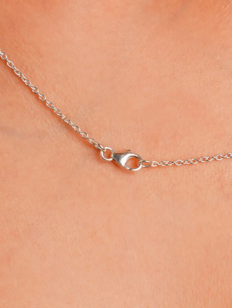The lobster clasp at the back of the chain