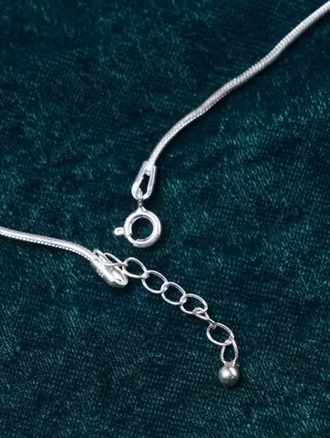 Clasp and extender chain close up