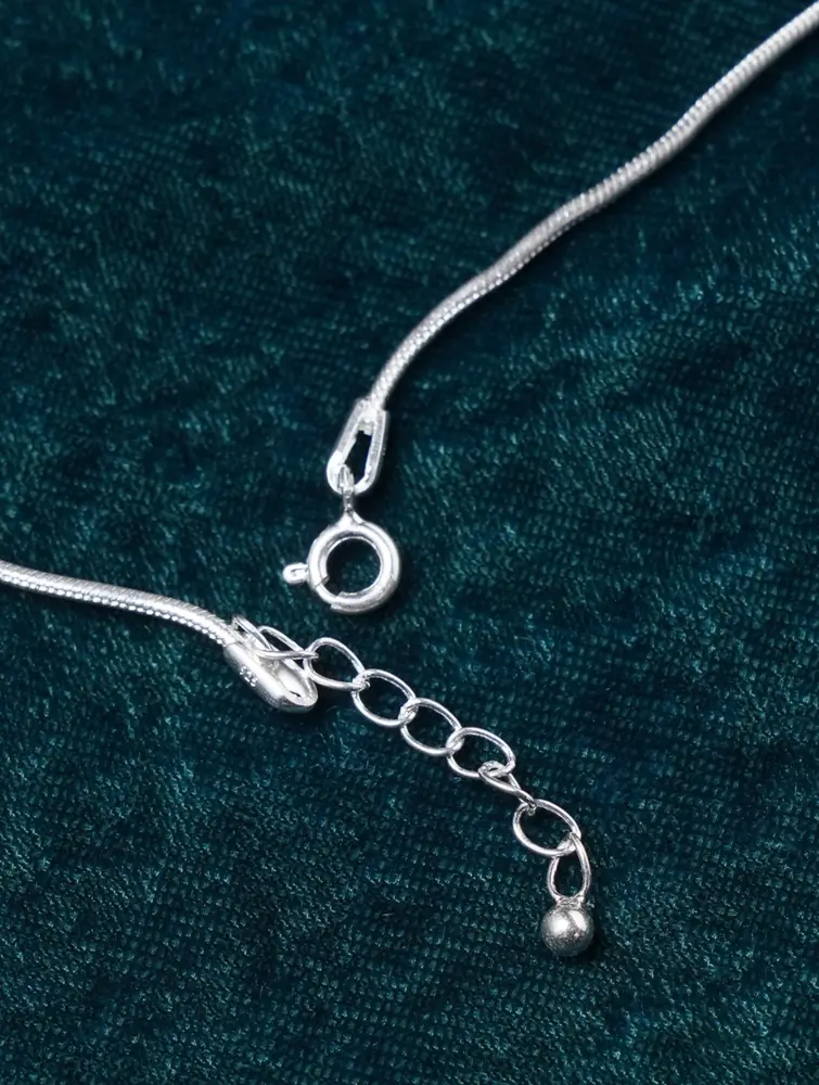 Clasp and extender chain close up